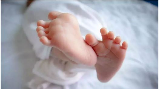मां की गोद में थी 15 दिन की बच्ची, छीन कर भागे बाइक सवार 2 बदमाश, पुलिस की 5 टीमें जांच में जुटीं
