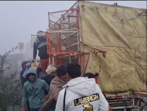 हादसे के बाद मची मुर्गे-मुर्गियां लूटने की होड़, बोरियों में भरकर ले गए लोग, NH पर दिखा हैरान करने वाला नजारा