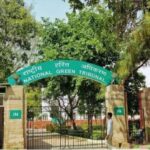 दिल्ली में पेड़ों की कटाई पर रक्षा मंत्रालय, DDA और वन विभाग को NGT का नोटिस, मांगा जवाब
