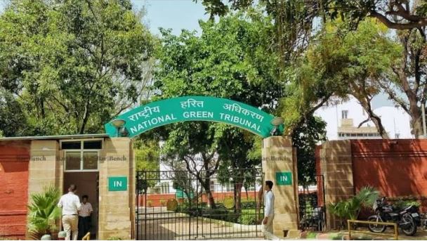 दिल्ली में पेड़ों की कटाई पर रक्षा मंत्रालय, DDA और वन विभाग को NGT का नोटिस, मांगा जवाब