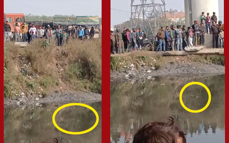 नोएडा के फेस 2 में नाले में बहता शव देखकर लग गई भीड़
