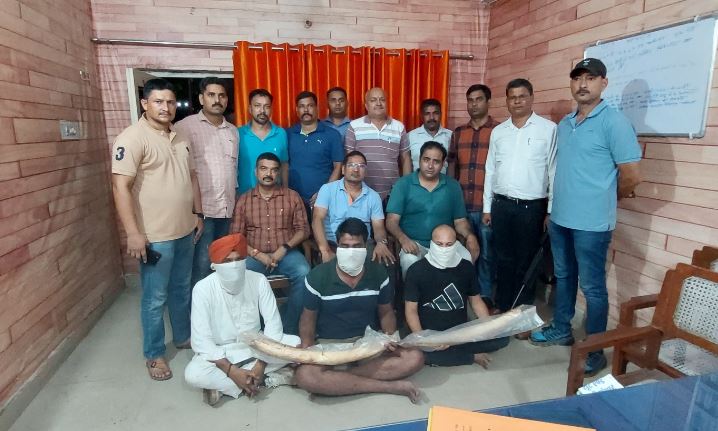 बरेली से तीन अन्तर्राज्यीय वन्यजीव तस्कर गिरफ्तार