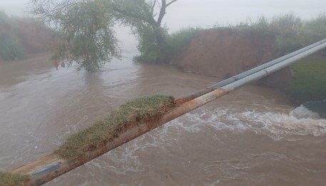 नहर टूटने से 250 एकड़ में पककर तैयार खड़ी फसल हुई जलमग्न, किसानों को हुआ लाखों रुपये का नुकसान