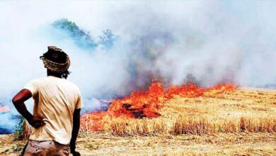 पराली जलाने वाले किसानों पर जिला प्रशासन सख्त, अब तक नौ के विरुद्ध मुकदमा दर्ज