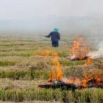 पराली जलने के केस बढ़ने के बाद प्रशासन सख्त, 13 किसानों को किया गिरफ्तार