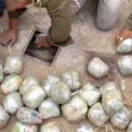 पांच लाख रुपये की अफीम सप्लाई करने रुद्रपुर पहुंचे जीजा-साले