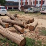 रनसाली रेंज की टीम ने पिकअप से 7 गिल्टे सागौन के किए बरामद 