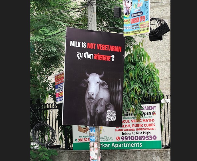 Controversial Billboard Sparks Debate: ‘Milk is Not Vegetarian’