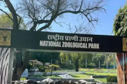 दिल्ली चिड़ियाघर में घड़ियाल संरक्षण की नई पहल