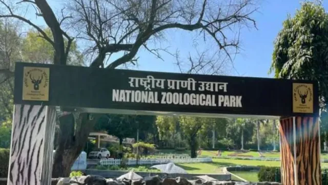 दिल्ली चिड़ियाघर में घड़ियाल संरक्षण की नई पहल
