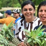 अनानास की पत्तियों से तैयार प्रीमियम कपड़ा ‘पीन्या’ दिल्ली में बना चर्चा का विषय