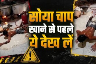 क्या आप भी चाव से खाते हैं सोया चाप? नोएडा के फैक्ट्री से लीक हुआ वीडियो, ऐसे बनाया गया शाकाहारी मटन!