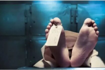 ग्रेटर नोएडा: पैदल जा रही महिला को एंबुलेंस ने मारी टक्कर, मौत
