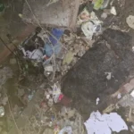 नोएडा के मामूरा में सड़क किनारे नाले में गिरकर बुजुर्ग की मौत, प्रशासन पर फिर उठे सवाल