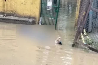 इंदिरापुरम में करंट से युवक की मौत, विद्युत निगम पर लापरवाही का आरोप