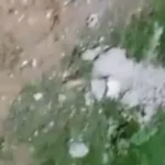 ग्रेटर नोएडा वेस्ट: रक्षा एडेला सोसायटी में लगातार दूसरे दिन प्लास्टर गिरने से दहशत