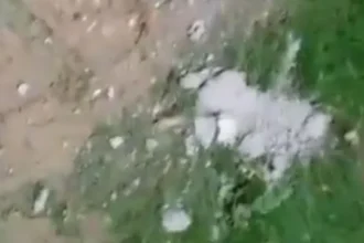 ग्रेटर नोएडा वेस्ट: रक्षा एडेला सोसायटी में लगातार दूसरे दिन प्लास्टर गिरने से दहशत