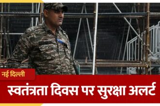 स्वतंत्रता दिवस पर दिल्ली में पतंगबाजी पर रोक, मध्य जिले में 16 अगस्त तक लागू रहेगी धारा 163