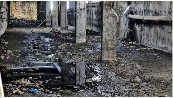ग्रेटर नोएडा की सोसायटियों में जलभराव से बढ़ा बीमारियों का खतरा, बेसमेंट बने मच्छरों के अड्डे