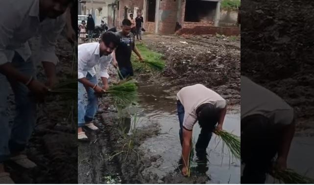 कीचड़ भरी गलियों में ग्रामीणों ने की धान की रोपाई, यमुना प्राधिकरण के खिलाफ अनोखा विरोध