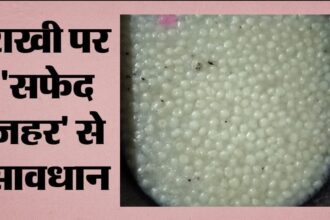 रक्षाबंधन से पहले मिठाई की फैक्ट्री में छापा, गंदगी में बन रहे थे रसगुल्ले; ढाई क्विंटल नष्ट