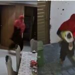 नोएडा की सोसाइटी में अनोखी चोरी, सलवार-सूट पहनकर घुसा संदिग्ध; 13 मिनट में 2 लाख पार