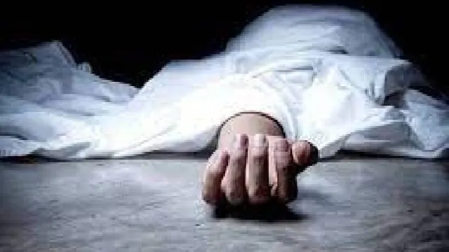 दिल्ली में निर्माणाधीन इमारत में बड़ा हादसा, भारी गेट गिरने से सुरक्षा गार्ड की मौत