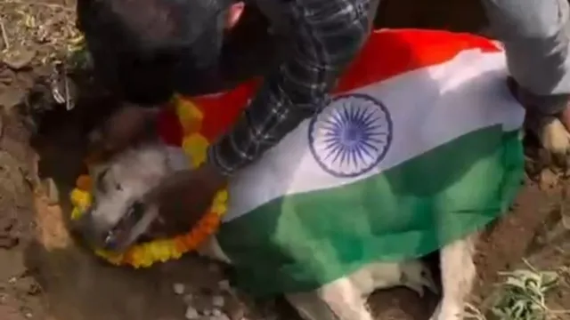 ग्रेटर नोएडा में कुत्ते के शव को तिरंगे में लपेटा: लोगों में राष्ट्रीय ध्वज के सम्मान को लेकर नाराजगी, कार्रवाई की मांग