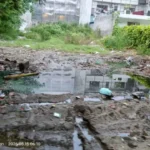नोएडा सेक्टर-51 में खाली प्लॉट बना मच्छरों का अड्डा, डेंगू के बढ़ते मामलों से बढ़ी चिंता