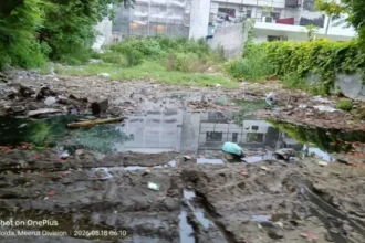 नोएडा सेक्टर-51 में खाली प्लॉट बना मच्छरों का अड्डा, डेंगू के बढ़ते मामलों से बढ़ी चिंता
