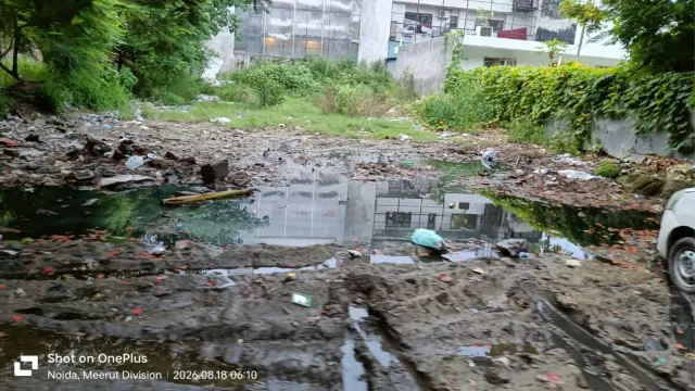 नोएडा सेक्टर-51 में खाली प्लॉट बना मच्छरों का अड्डा, डेंगू के बढ़ते मामलों से बढ़ी चिंता