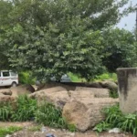 जेवर में नवजातों की दर्दनाक मौत से इंसानियत शर्मसार, कूड़े-झाड़ियों से लेकर एक्सप्रेसवे तक बन रहे मासूमों के ठिकाने