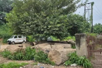 जेवर में नवजातों की दर्दनाक मौत से इंसानियत शर्मसार, कूड़े-झाड़ियों से लेकर एक्सप्रेसवे तक बन रहे मासूमों के ठिकाने