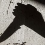 दिल्ली के जाफराबाद में 19 वर्षीय युवक की चाकू से गोदकर हत्या, फैक्ट्री में मचा हड़कंप