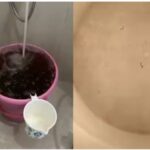नोएडा की आइकॉनिक सोसायटी में जल संकट: बिल्डर की लापरवाही की सजा भुगत रहे 350 से ज्यादा परिवार