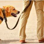 गाजियाबाद में 15 वर्षीय किशोर लापता, नमाज पढ़ने के लिए घर से निकला था; पुलिस ने शुरू की तलाश