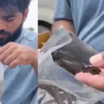 पूरी कीमत ऑनलाइन दी, घर पहुंचा पैकेट तो Android डिवाइस की जगह निकला गोबर