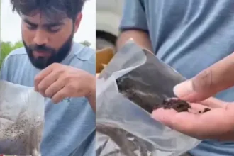 पूरी कीमत ऑनलाइन दी, घर पहुंचा पैकेट तो Android डिवाइस की जगह निकला गोबर