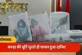 मंदिर से मूर्ति चुराकर भागते समय घायल हुआ चोर, अस्पताल पहुंचते ही पुलिस के हत्थे चढ़ा