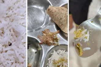 नोएडा: सेक्टर-62 स्थित ‘भारतीय पाक कला संस्थान’ की मेस में निकला कीड़ा और मटन, अभिभावकों ने मंत्रालय में की शिकायत