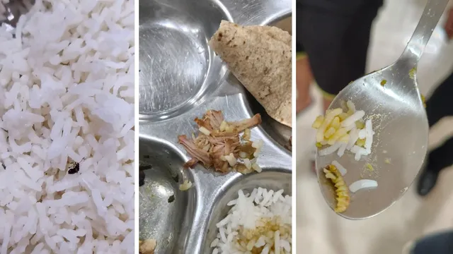 नोएडा: सेक्टर-62 स्थित ‘भारतीय पाक कला संस्थान’ की मेस में निकला कीड़ा और मटन, अभिभावकों ने मंत्रालय में की शिकायत