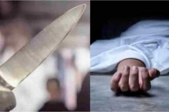 दिल्ली में रिश्तों का कत्ल: सुंदर नगरी में बड़े भाई ने छोटे भाई पर किया चाकू से ताबड़तोड़ हमला, आरोपी गिरफ्तार