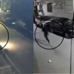 वसुंधरा हत्याकांड अपडेट: शशांक कंथारिया पर हमले का CCTV फुटेज आया सामने, पत्नी के जाने के बाद घर में घुसा था जिम ट्रेनर प्रताप
