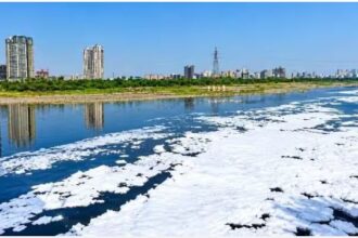 यमुना एक्शन प्लान पर सुप्रीम कोर्ट सख्त: नोएडा अथॉरिटी और सरकारों से पूछे तीखे सवाल, 7 अक्टूबर को गृह मंत्रालय में PPT पेशी