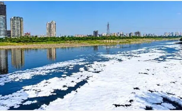 यमुना एक्शन प्लान पर सुप्रीम कोर्ट सख्त: नोएडा अथॉरिटी और सरकारों से पूछे तीखे सवाल, 7 अक्टूबर को गृह मंत्रालय में PPT पेशी