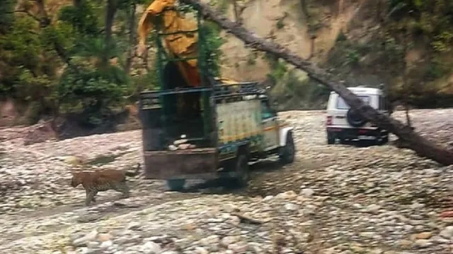 गाजियाबाद वन विभाग की बड़ी उपलब्धि: एक साल में 574 वन्यजीवों का सफल रेस्क्यू, 120 गांवों में चलाया अभियान